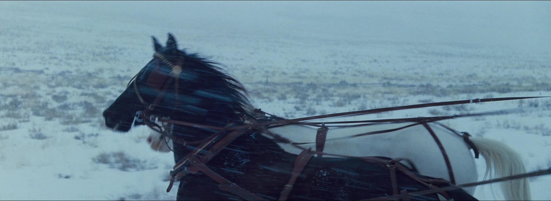 The Hateful Eight (2015), unknown, 2.74:1 — film still