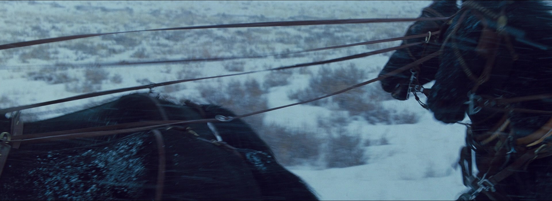 The Hateful Eight (2015), unknown, 2.74:1 — film still