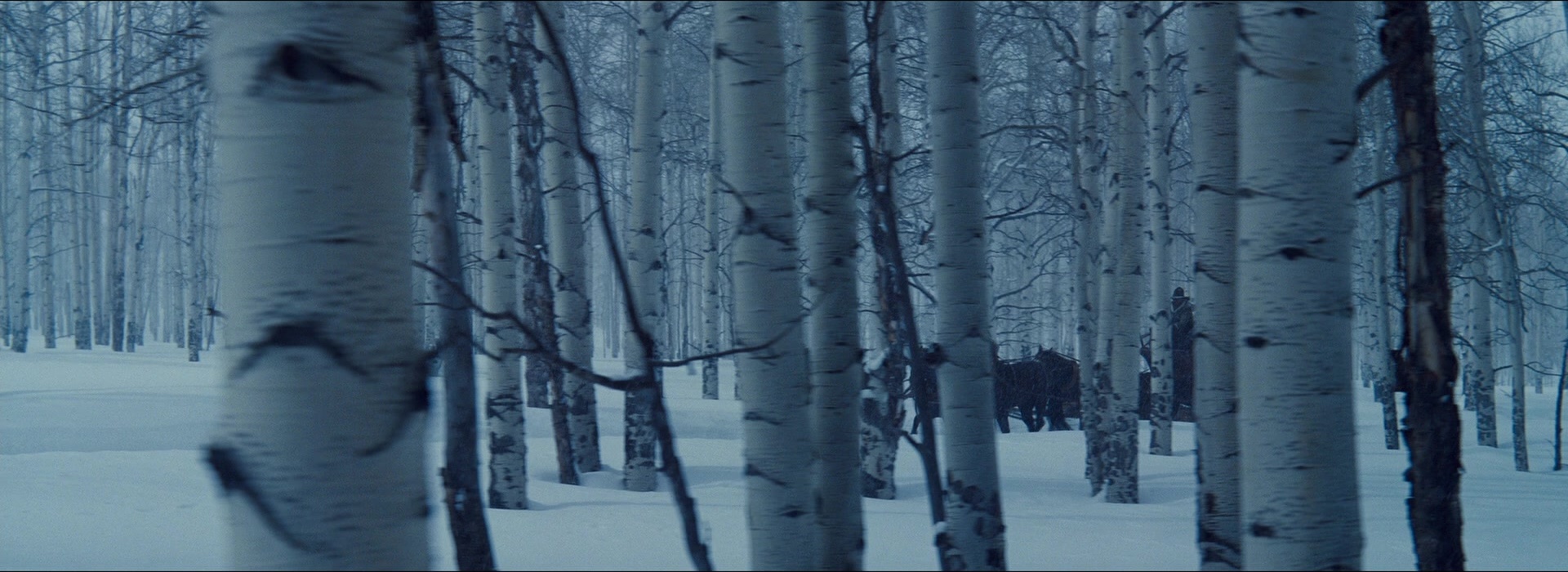 The Hateful Eight (2015), wide, 2.74:1 — film still