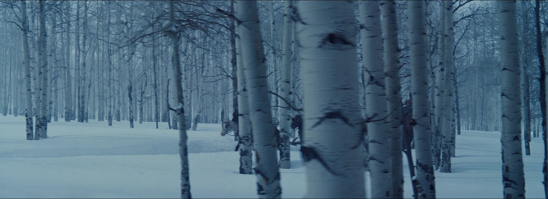 The Hateful Eight (2015), wide, 2.74:1 — film still