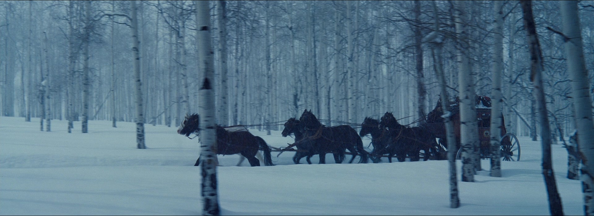 The Hateful Eight (2015), wide, 2.74:1 — film still