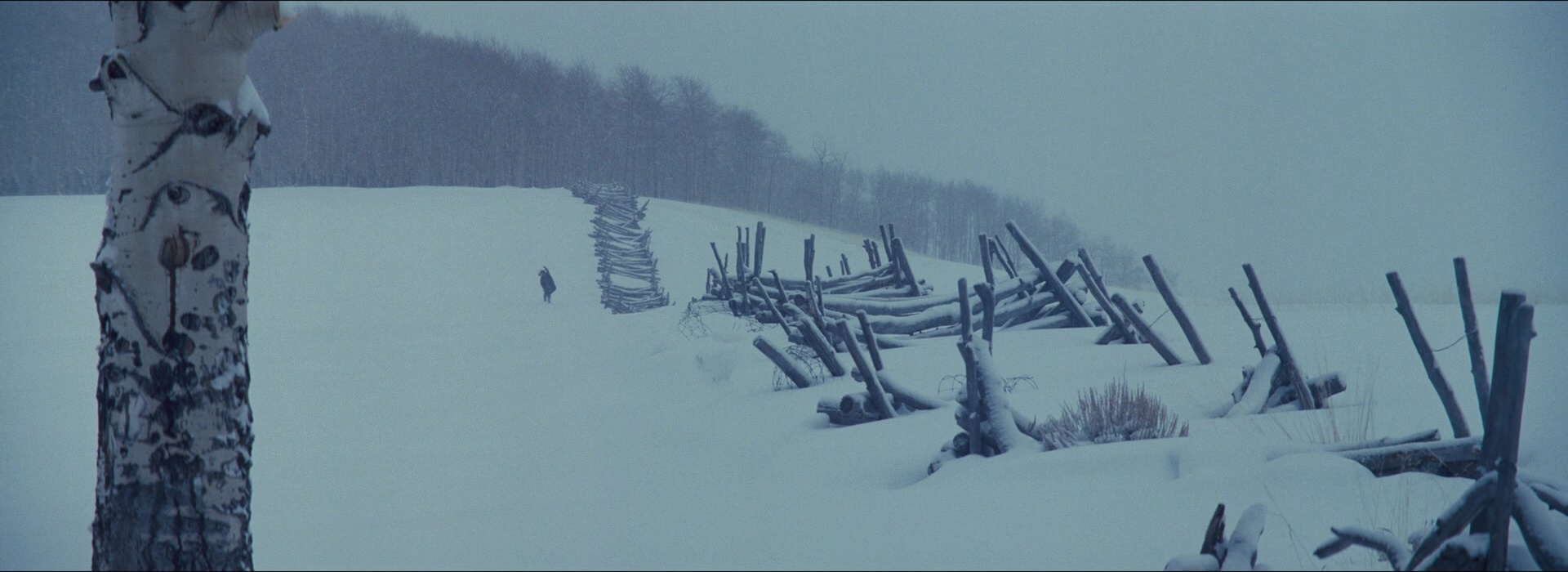 The Hateful Eight (2015), wide, 2.74:1 — film still