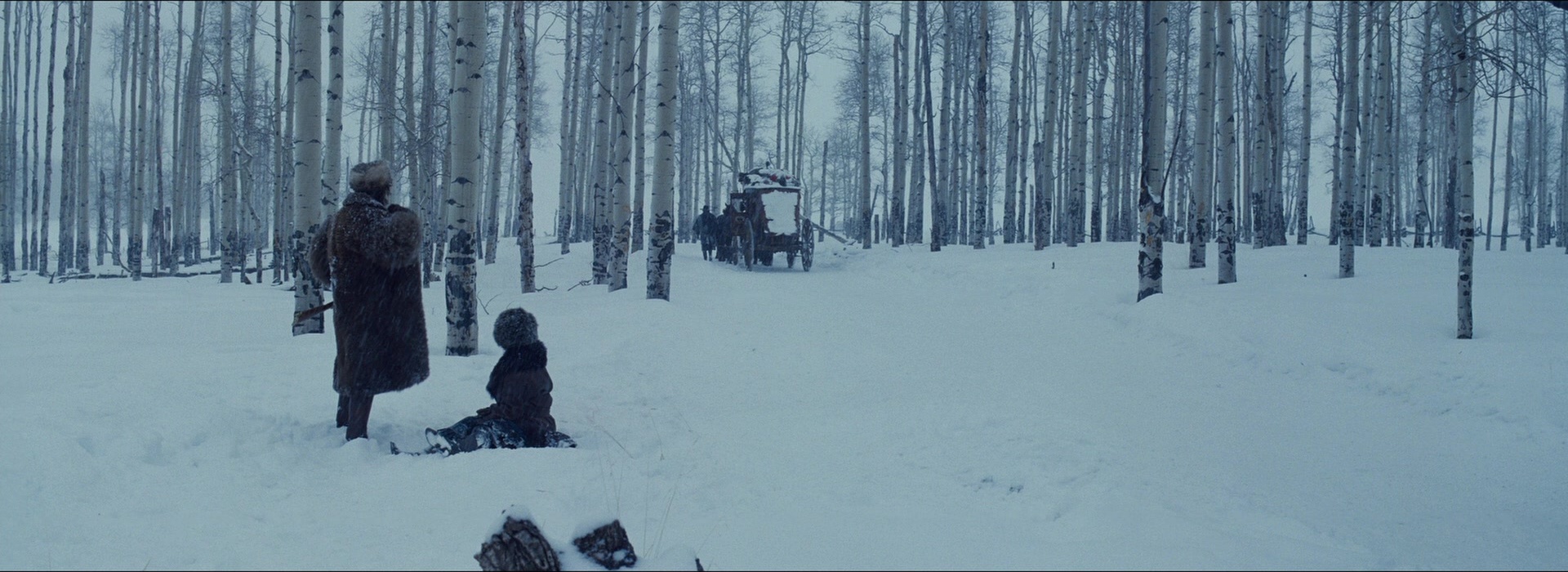 The Hateful Eight (2015), wide, 2.74:1 — film still