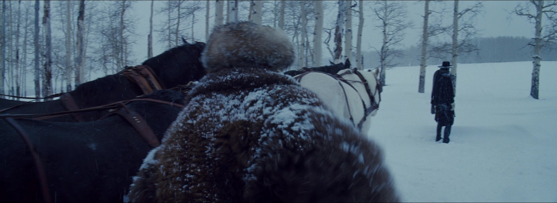 The Hateful Eight (2015), wide, 2.74:1 — film still