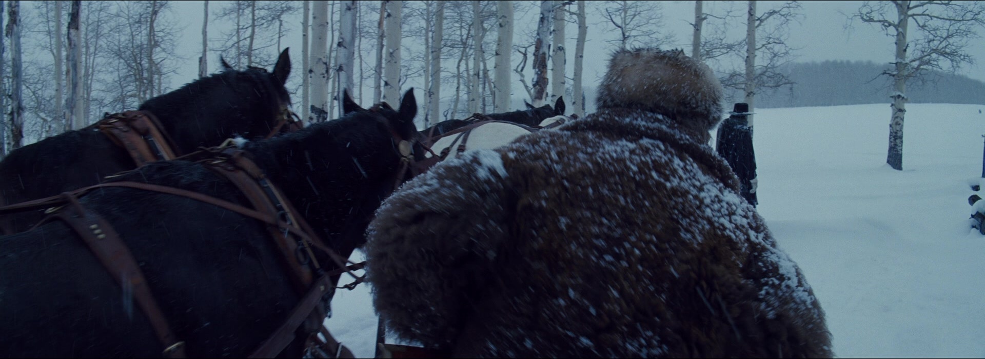 The Hateful Eight (2015), unknown, 2.74:1 — film still