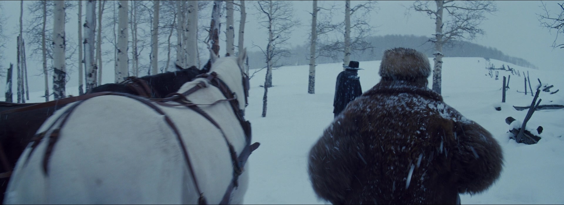 The Hateful Eight (2015), wide, 2.74:1 — film still