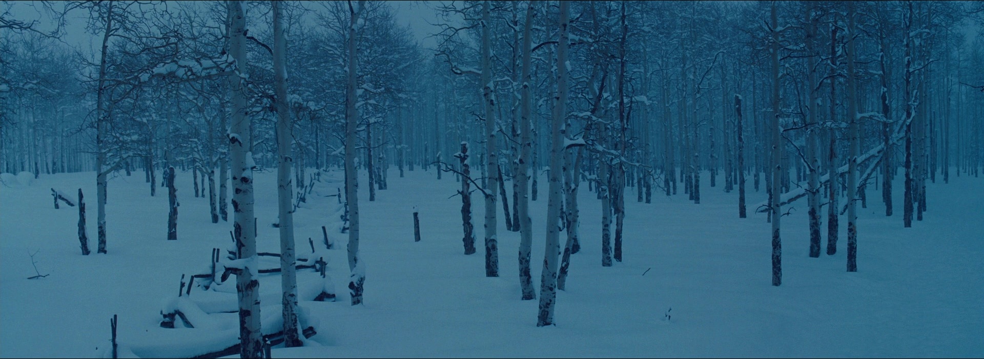 The Hateful Eight (2015), wide, 2.74:1 — film still