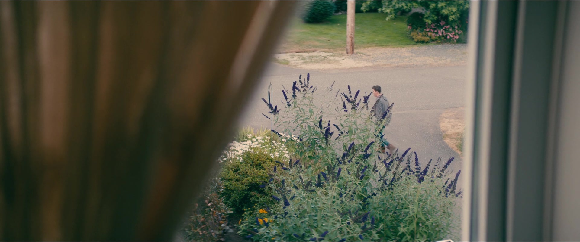 To All the Boys I've Loved Before (2017), wide, 2.39:1 — film still