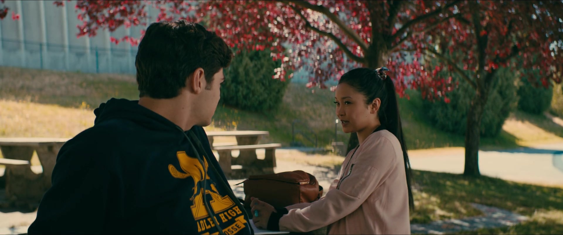 To All the Boys I've Loved Before (2017), wide, 2.39:1 — film still