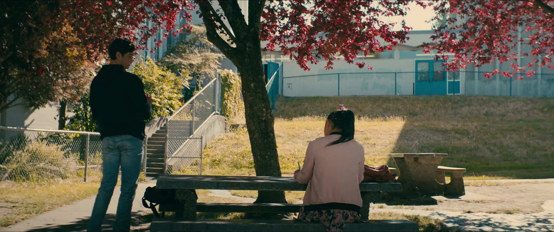 To All the Boys I've Loved Before (2017), wide, 2.39:1 — film still