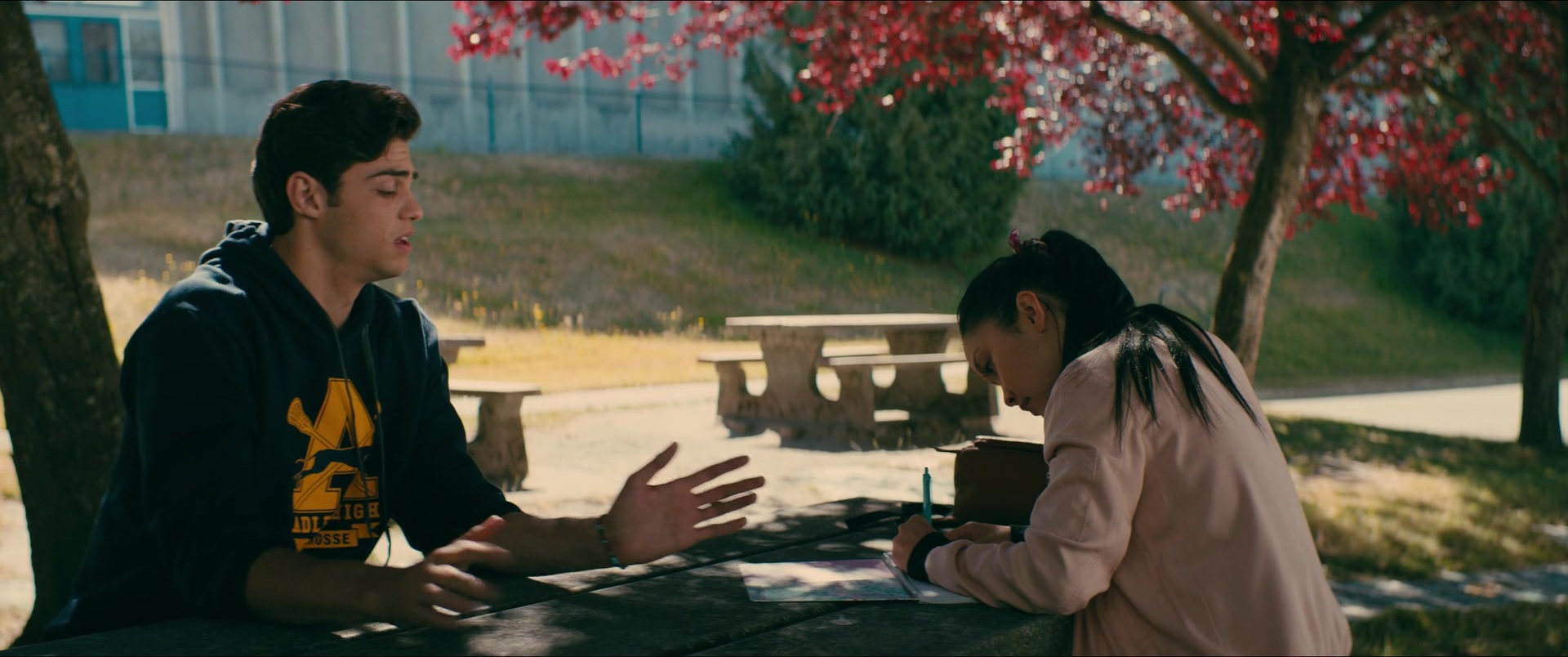 To All the Boys I've Loved Before (2017), wide, 2.39:1 — film still