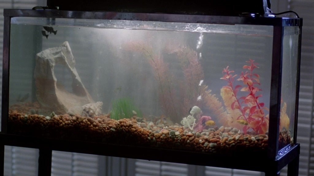A Nightmare on Elm Street Part 2: Freddy's Revenge (1985), unknown, 1.78:1 — film still
