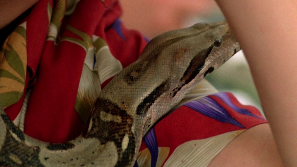 A Nightmare on Elm Street Part 2: Freddy's Revenge (1985), unknown, 1.78:1 — film still