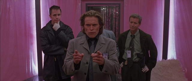 seria-3865737.jpg