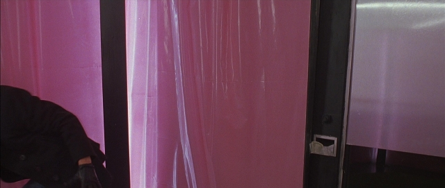 seria-3872410.jpg