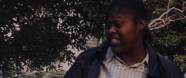 seria-6254999.jpg