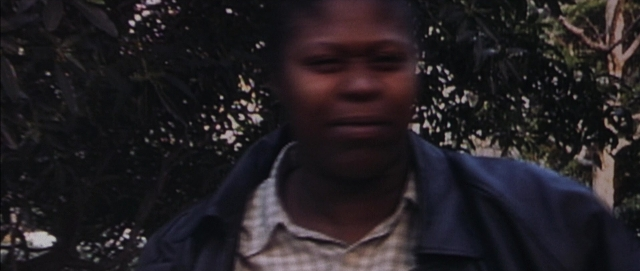 seria-6256667.jpg