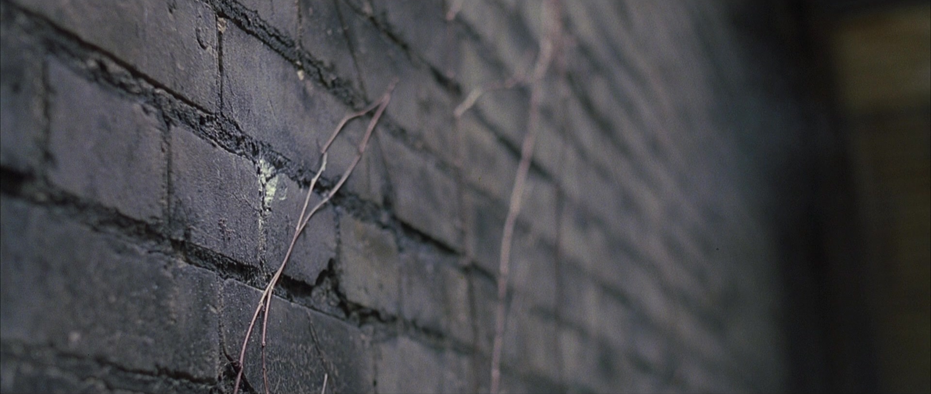 The Boondock Saints (1999), wide, 2.36:1 — film still