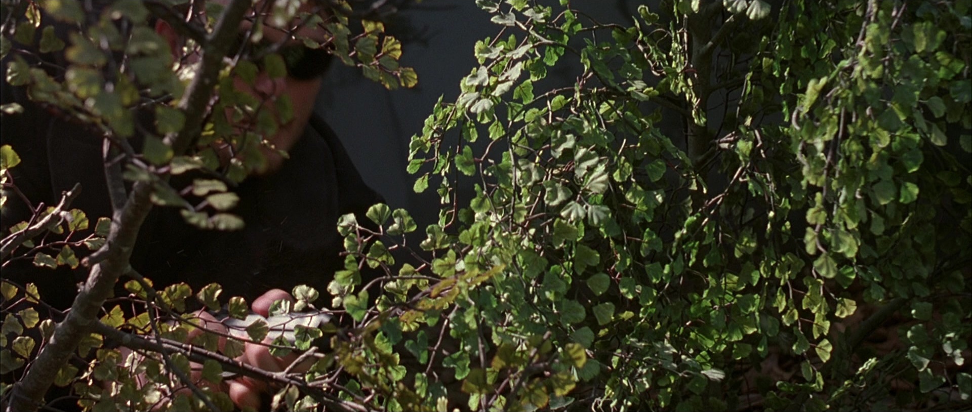 The Boondock Saints (1999), wide, 2.36:1 — film still