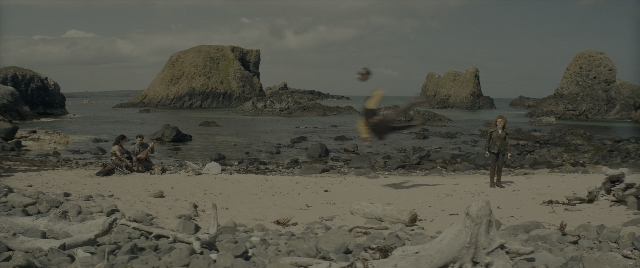 Wide shot frame from Dungeons & Dragons: Honor Among Thieves — sitting, water, bird