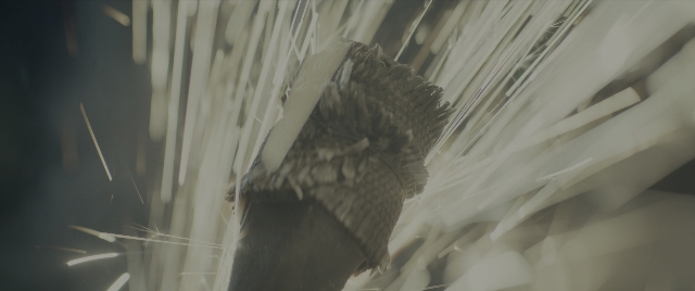 Frame from Dungeons & Dragons: Honor Among Thieves — bird