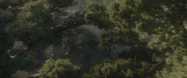 Wide shot frame from Dungeons & Dragons: Honor Among Thieves — forest, tree