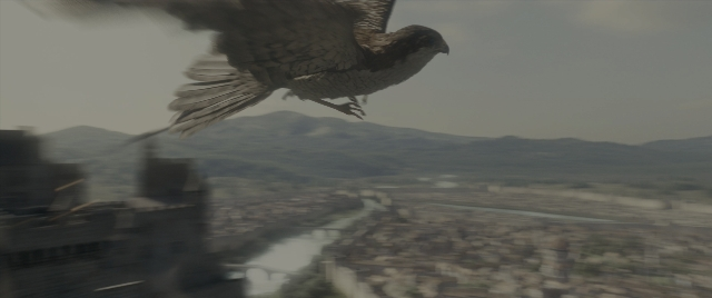 Frame from Dungeons & Dragons: Honor Among Thieves — bird, falcon
