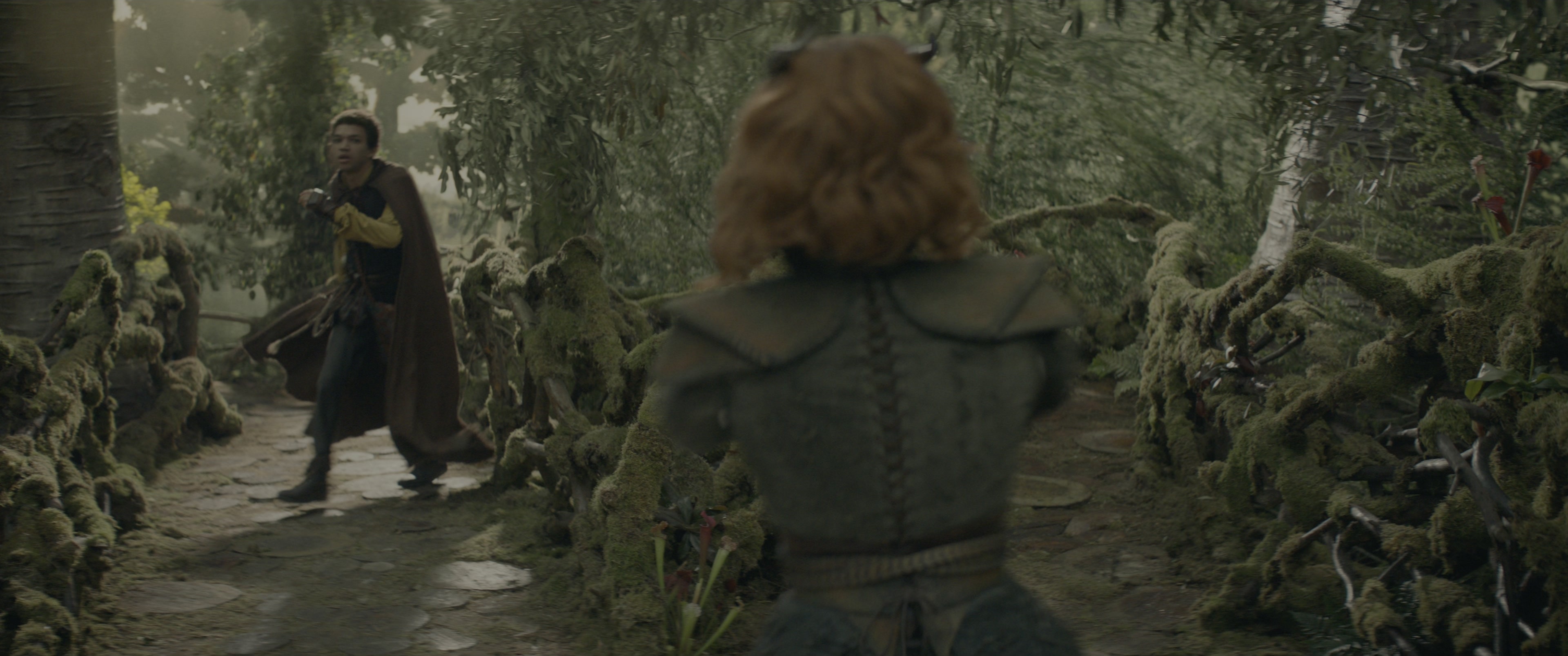 Dungeons & Dragons: Honor Among Thieves (2023), wide, 2.39:1 — film still