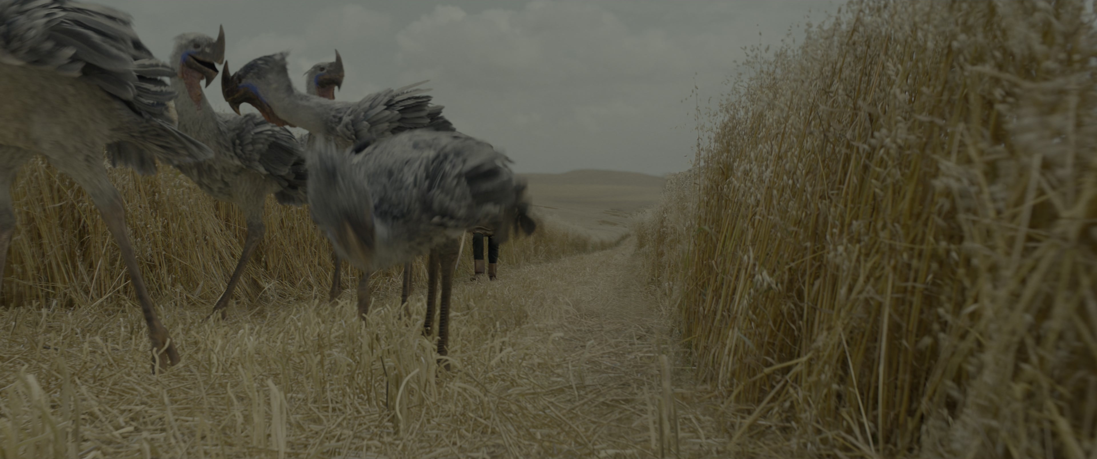 Dungeons & Dragons: Honor Among Thieves (2023), wide, 2.39:1 — film still