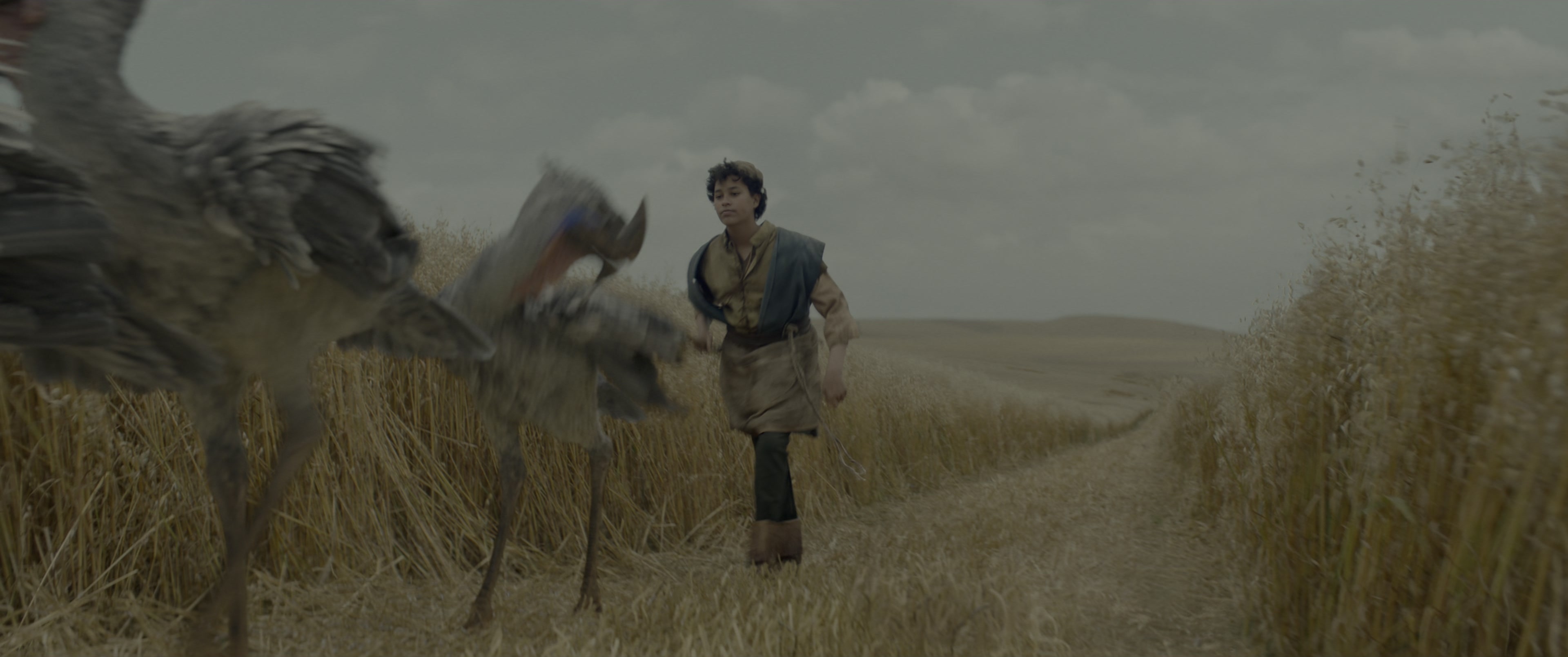 Dungeons & Dragons: Honor Among Thieves (2023), wide, 2.39:1 — film still