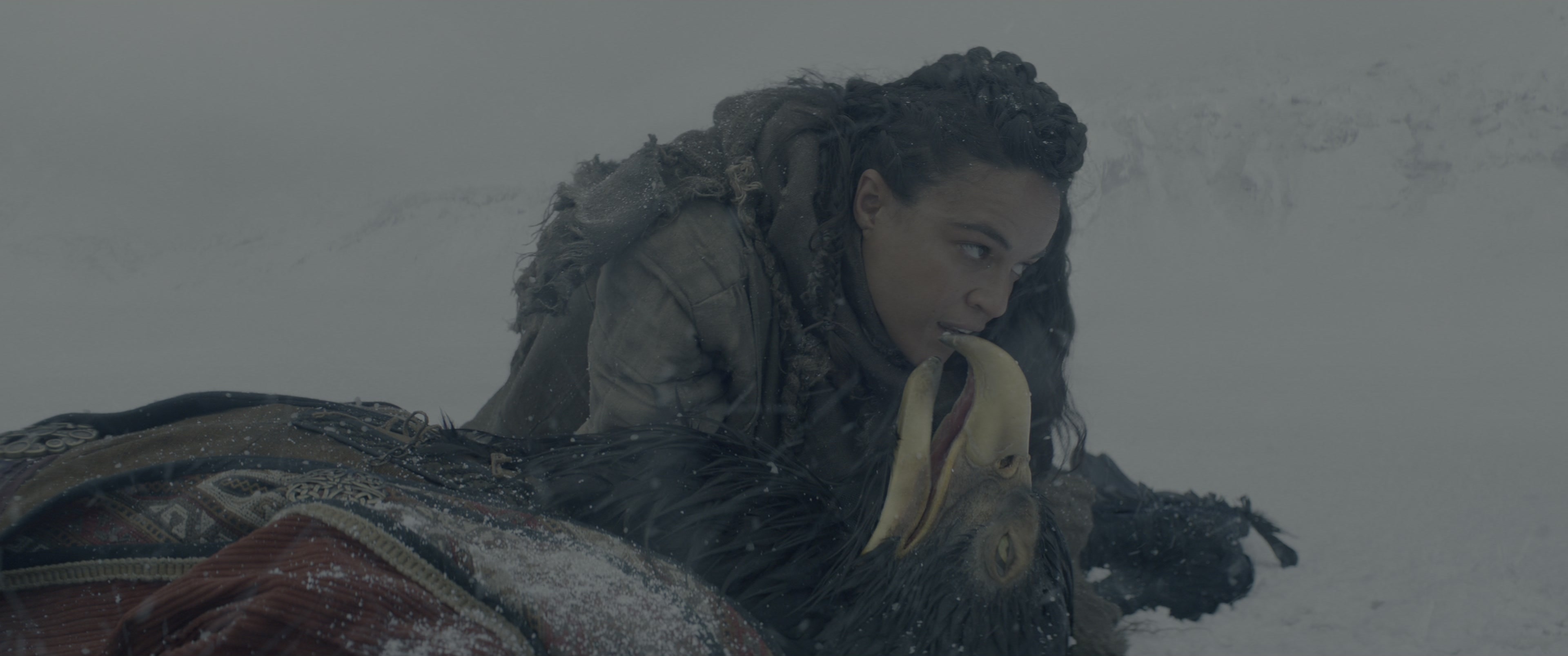Dungeons & Dragons: Honor Among Thieves (2023), wide, 2.39:1 — film still
