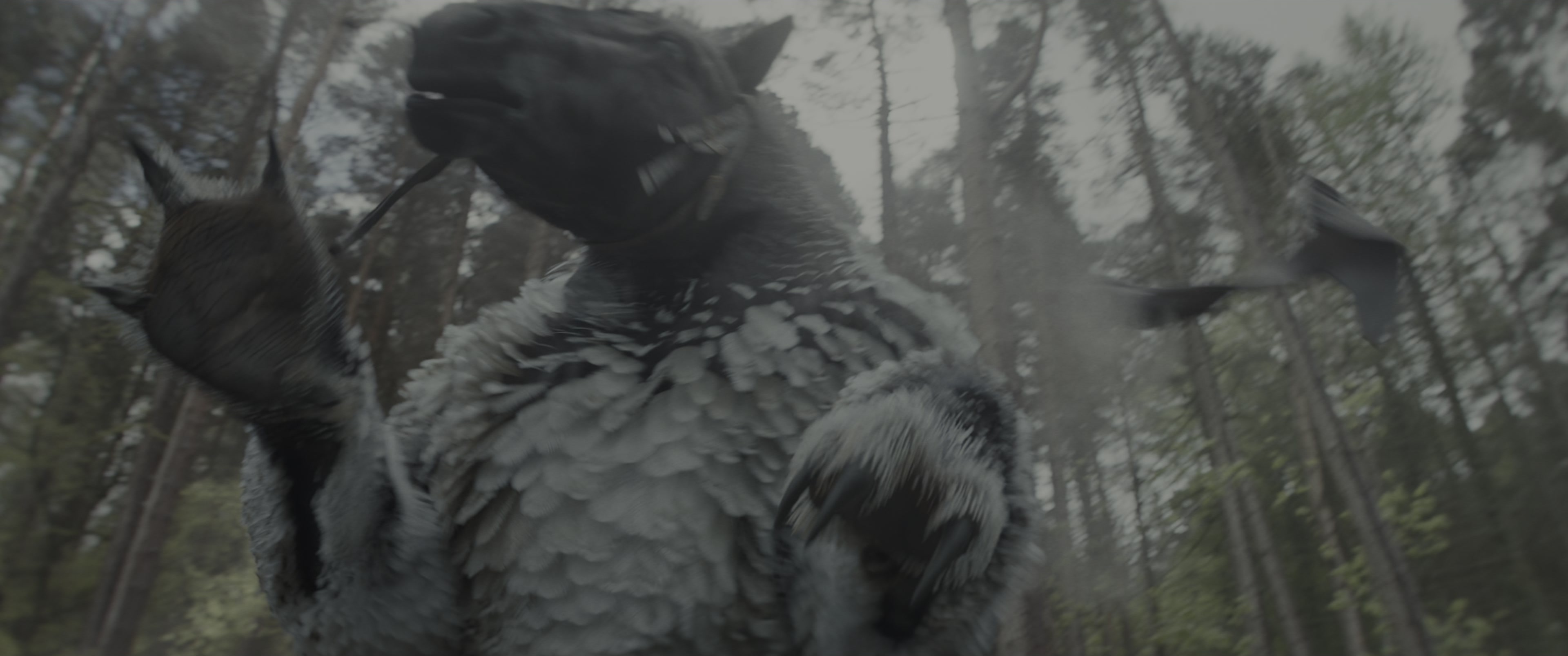 Dungeons & Dragons: Honor Among Thieves (2023), wide, 2.39:1 — film still