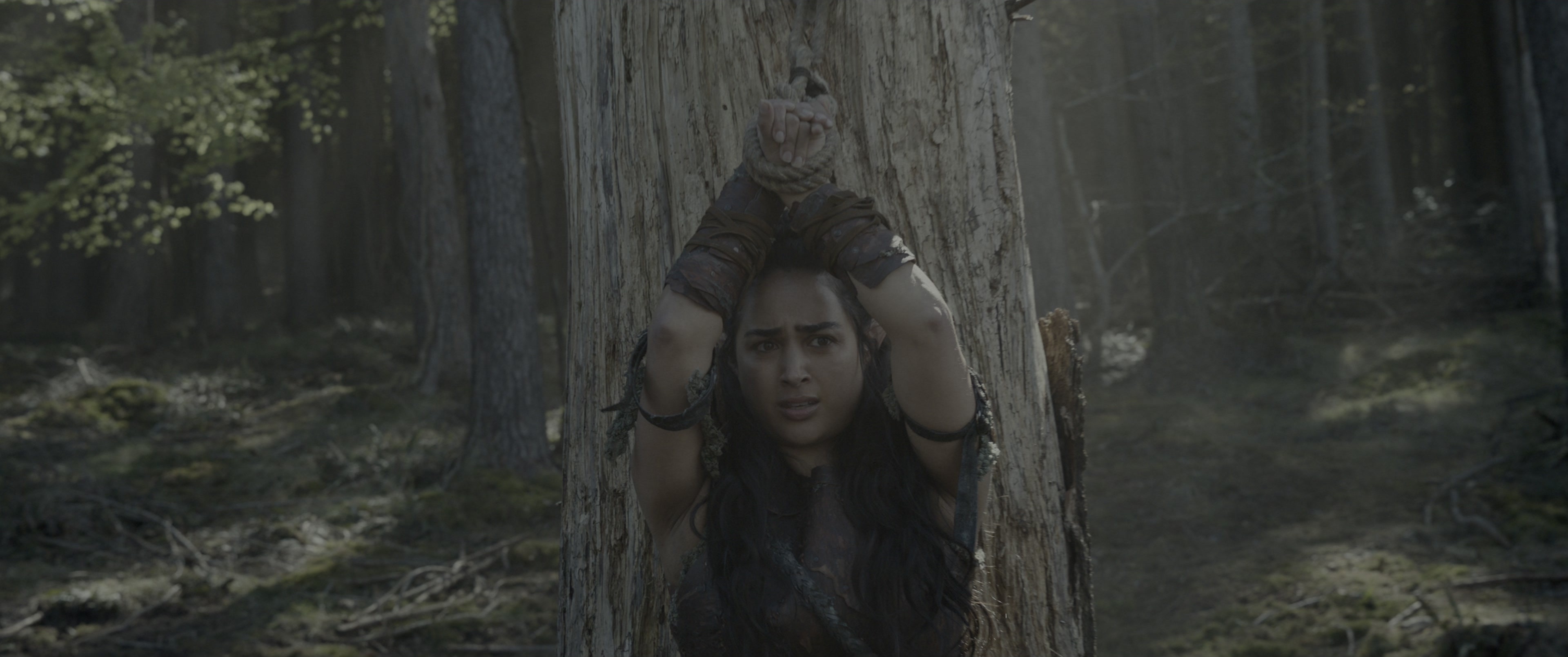 Dungeons & Dragons: Honor Among Thieves (2023), wide, 2.39:1 — film still