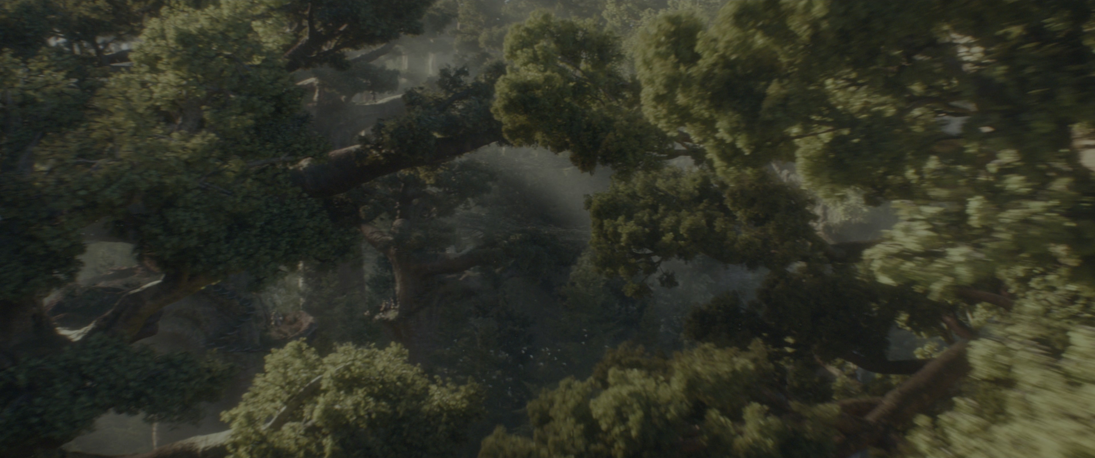 Dungeons & Dragons: Honor Among Thieves (2023), wide, 2.39:1 — film still
