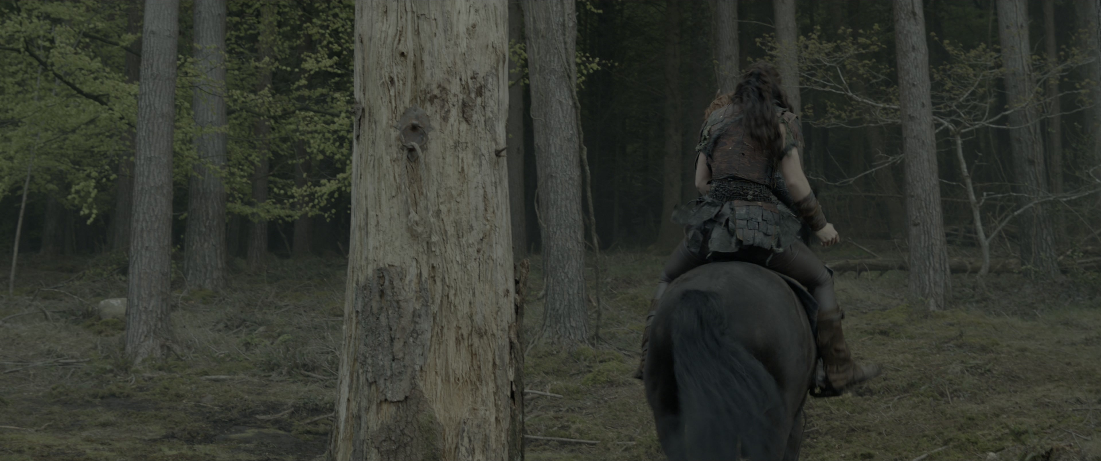 Dungeons & Dragons: Honor Among Thieves (2023), wide, 2.39:1 — film still