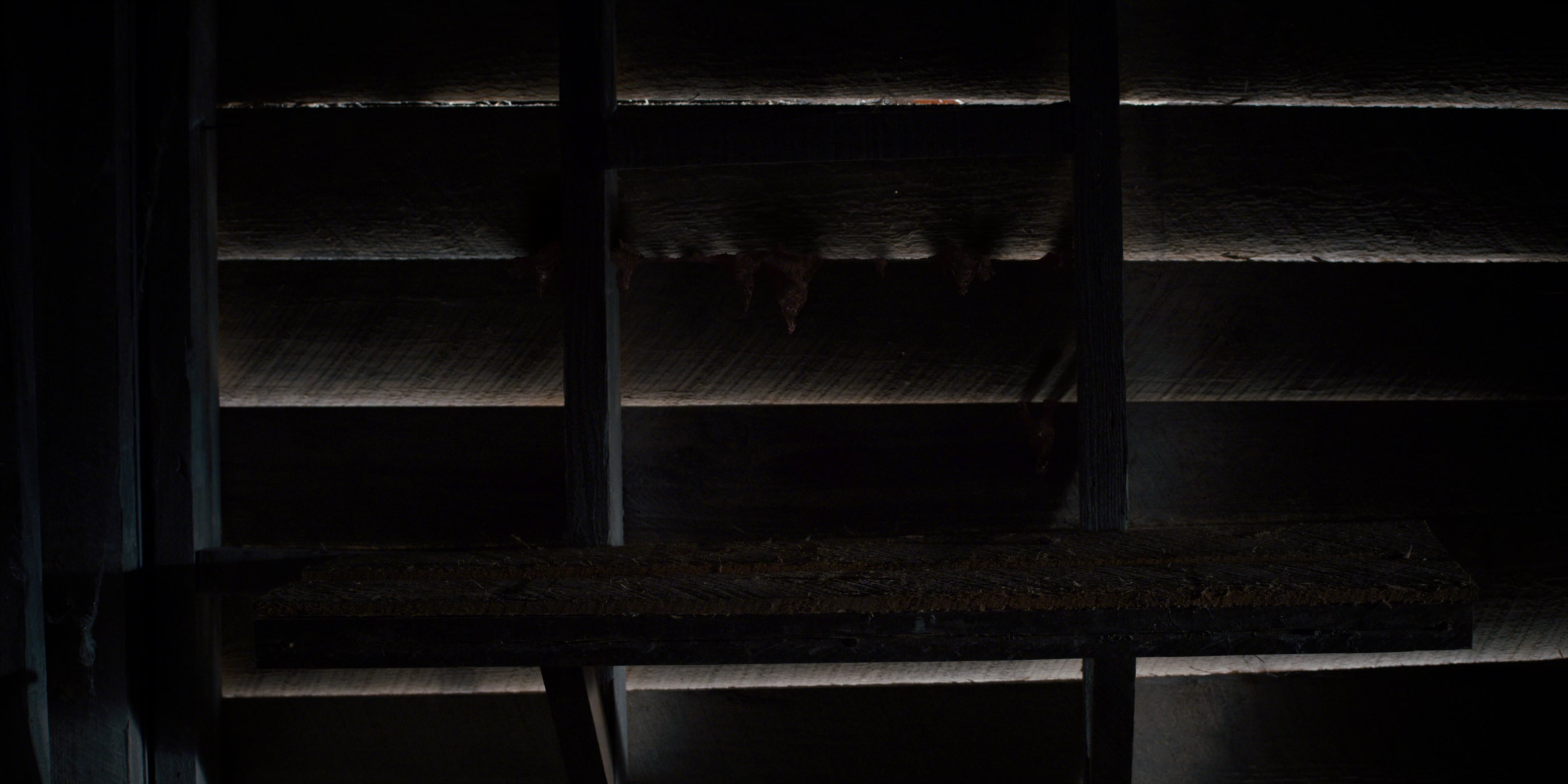 Stranger Things (2016), wide, 2.00:1 — film still