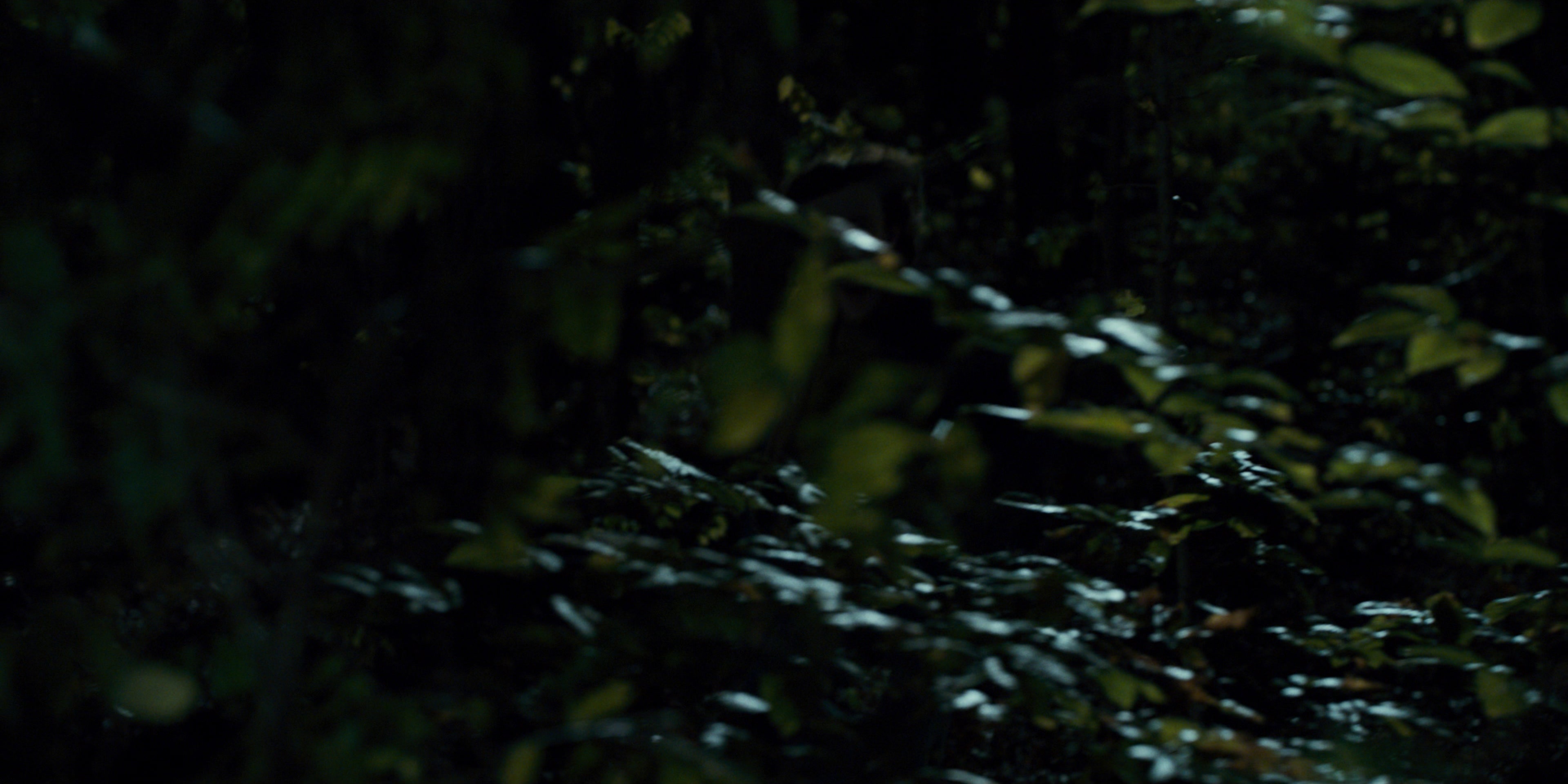 Stranger Things (2016), wide, 2.00:1 — film still