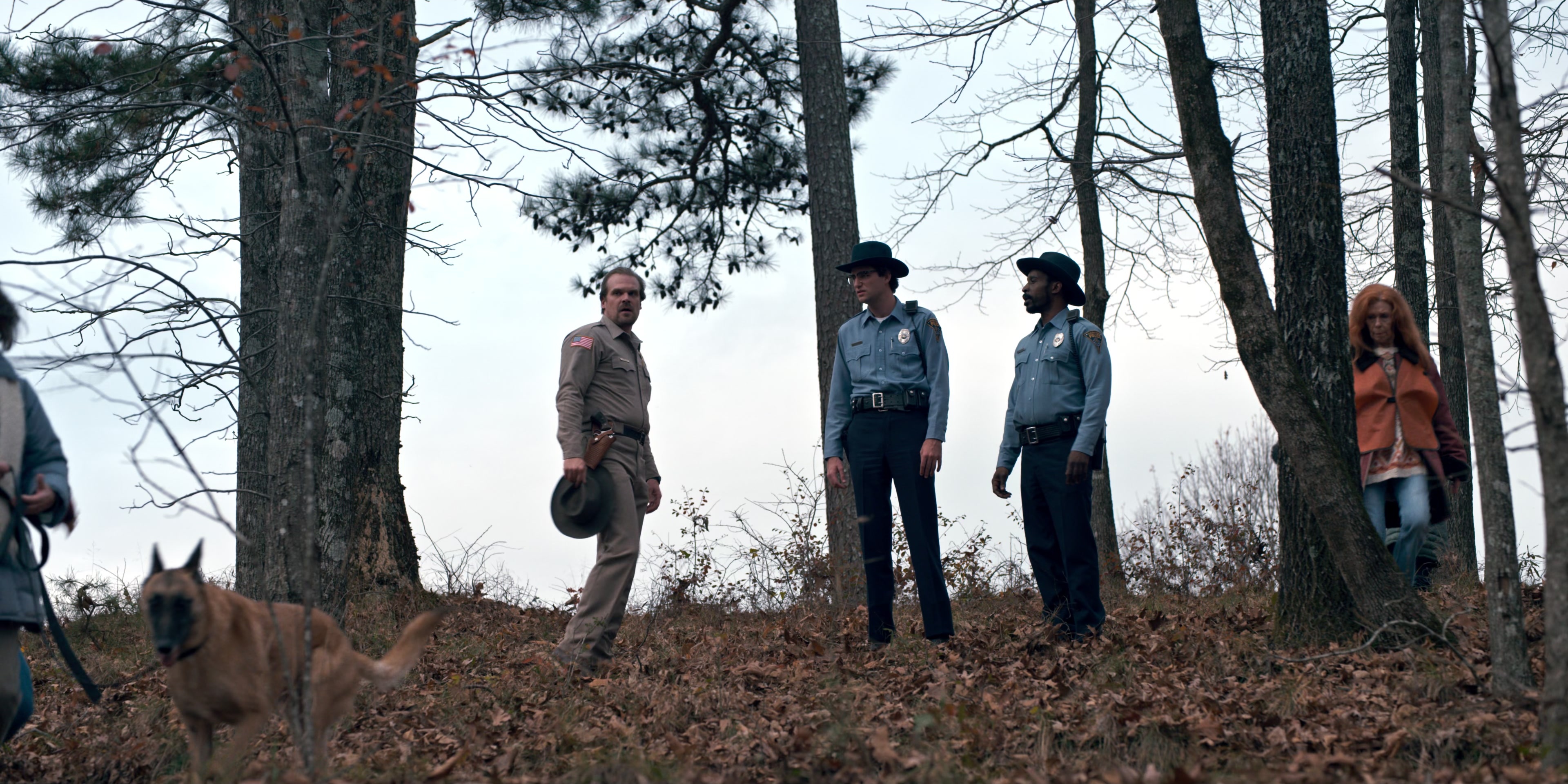 Stranger Things (2016), wide, 2.00:1 — film still