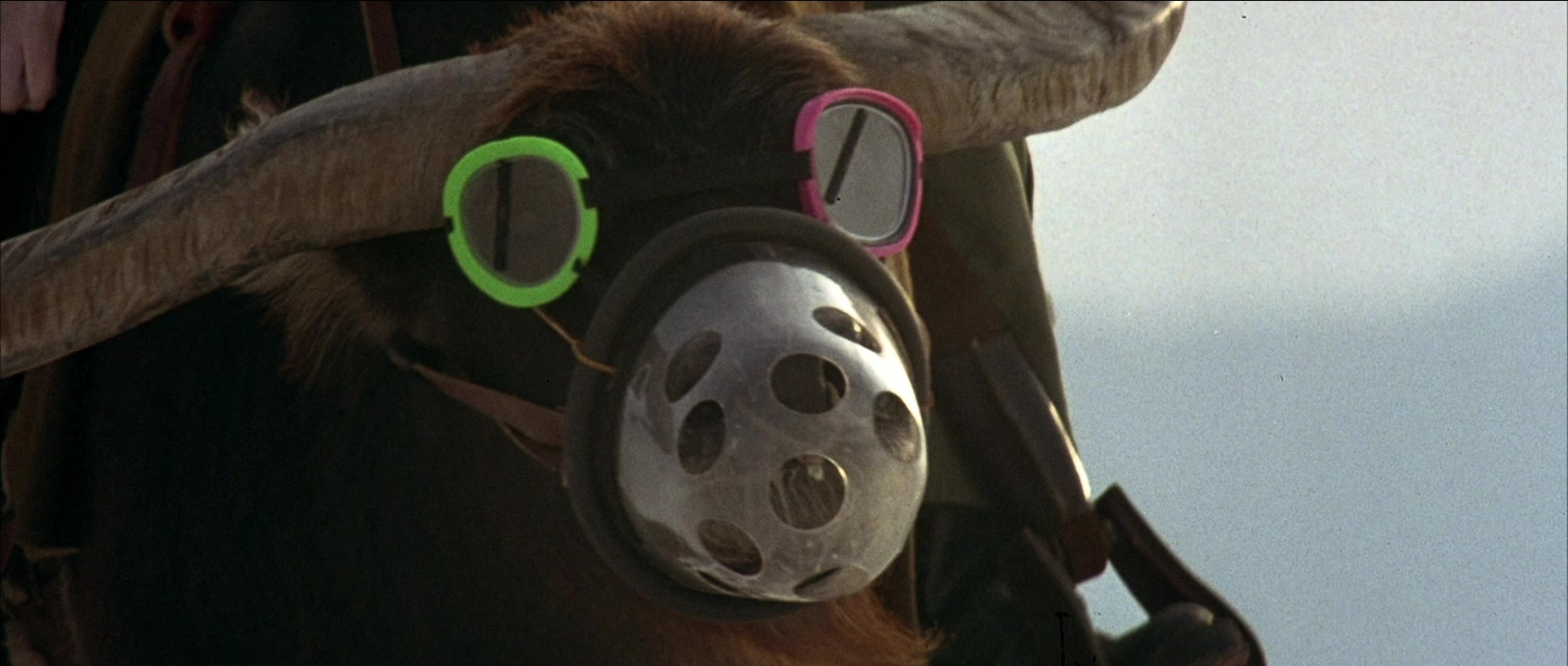 Tank Girl (1995), unknown, 2.35:1 — film still