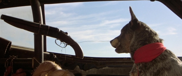 Wide shot frame from Mad Max 2 — sitting, animal, dog