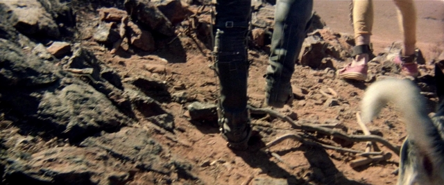 Wide shot frame from Mad Max 2 — walking, bird, person