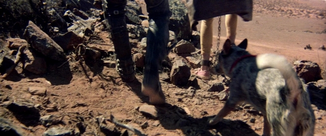 Wide shot frame from Mad Max 2 — walking, dog, person