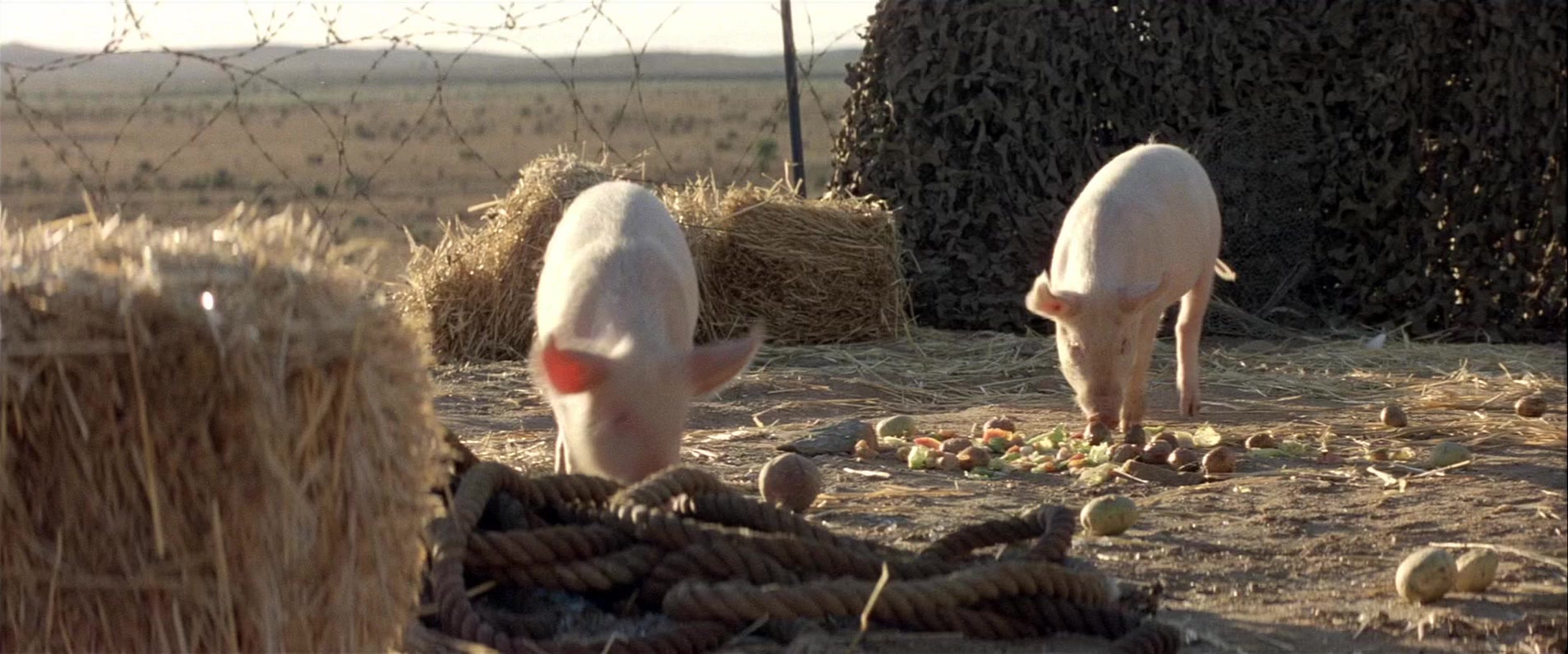 Mad Max 2 (1981), wide, 2.40:1 — film still