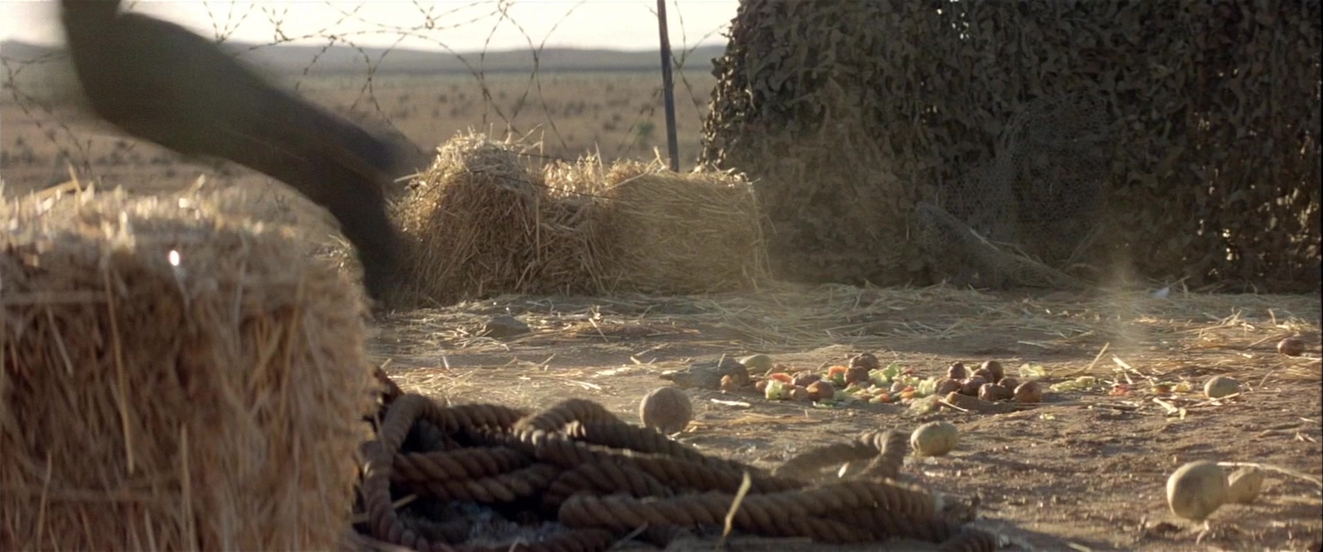 Mad Max 2 (1981), wide, 2.40:1 — film still