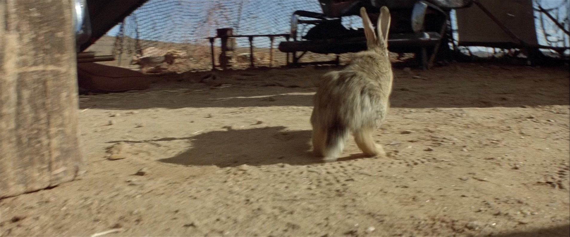 Mad Max 2 (1981), unknown, 2.40:1 — film still