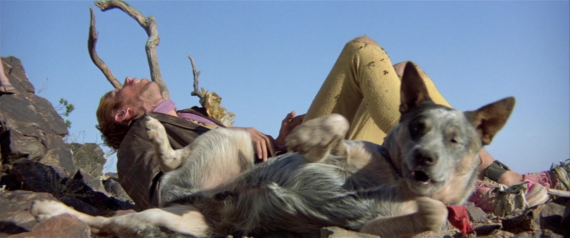 Mad Max 2 (1981), unknown, 2.40:1 — film still