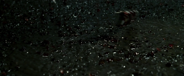 Frame from Lucky Number Slevin — animal, water, bird