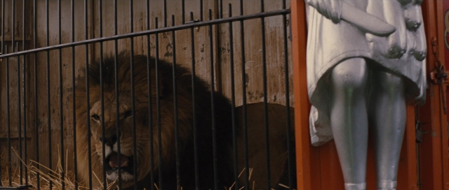 Medium shot frame from Water for Elephants — animal, door, shirt