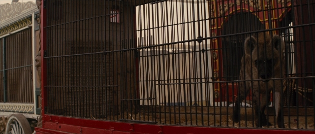 Wide shot frame from Water for Elephants — standing, animal, door