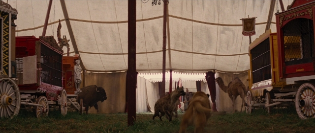 Wide shot frame from Water for Elephants — walking, animal, dog
